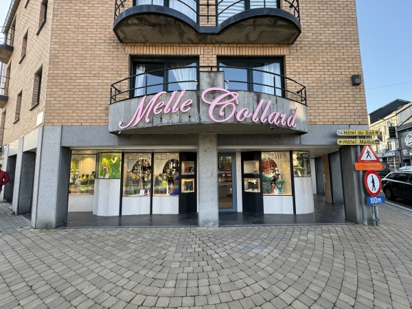 Mademoiselle Collard Lingerie - facade