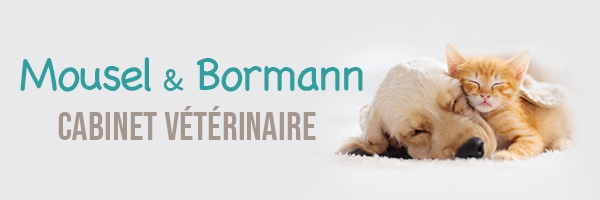 Cabinet vétérinaire Mousel - Bormann