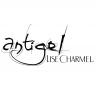 Logo Antigel de Lise Charmel
