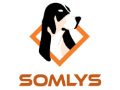 Logo Somlys