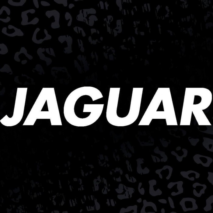 Jaguar Solingen