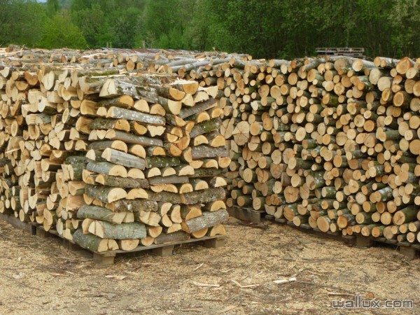 Stockage bois de chauffage