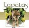 Logo Lupulus