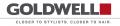 Logo Goldwell