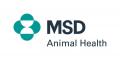 Logo MSD