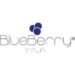 Logo BlueBerry