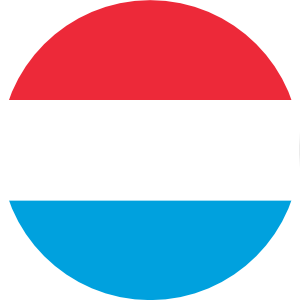 icone drapeau
